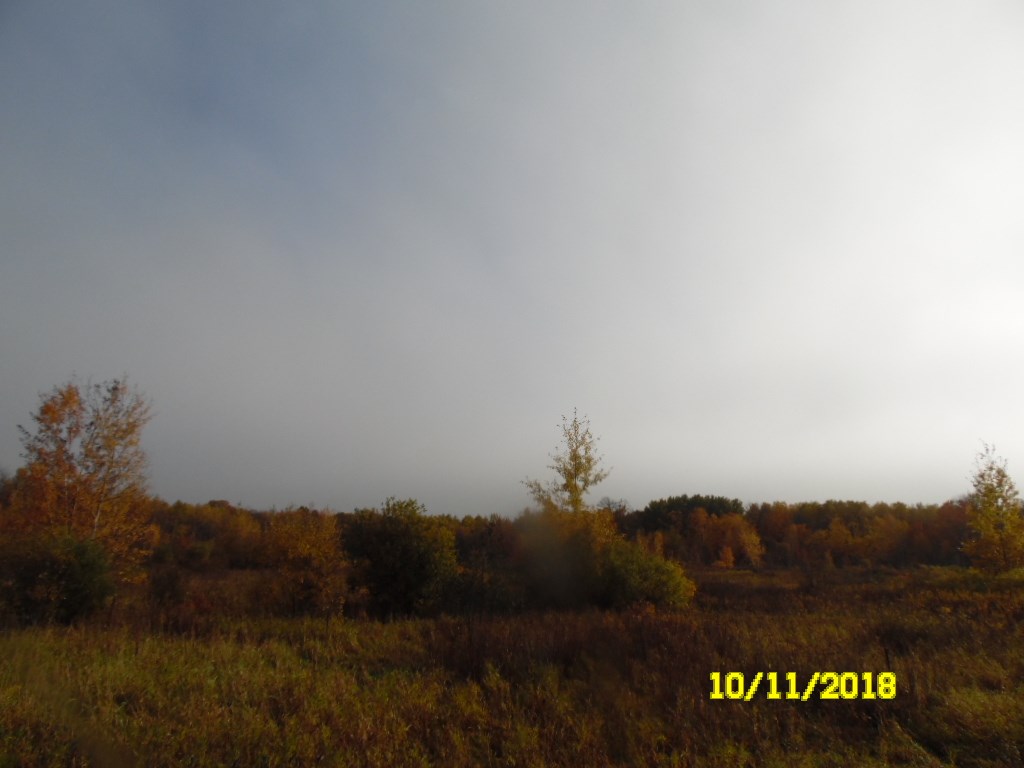 Lot #1-8.013 Lot#1-8.013 Ac Ringle Avenue Ringle, WI 54471 - Photo 1 of 1
