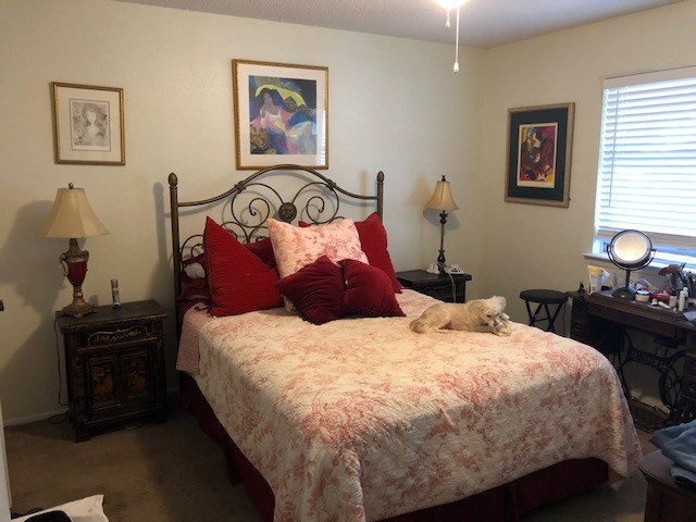 1507 Camp Craft Road, Unit D Austin, TX 78746 - Photo 2 of 12
