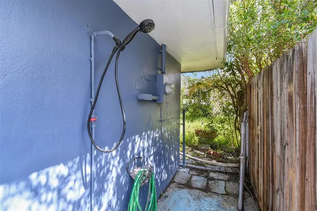 a house view with a wooden floor and a potted plant