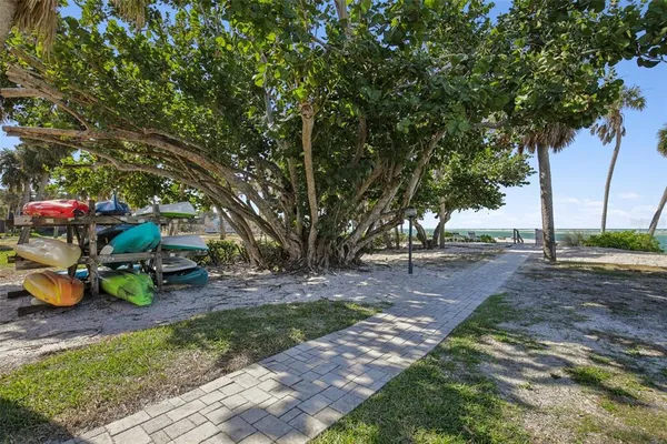 a view of a park with large trees