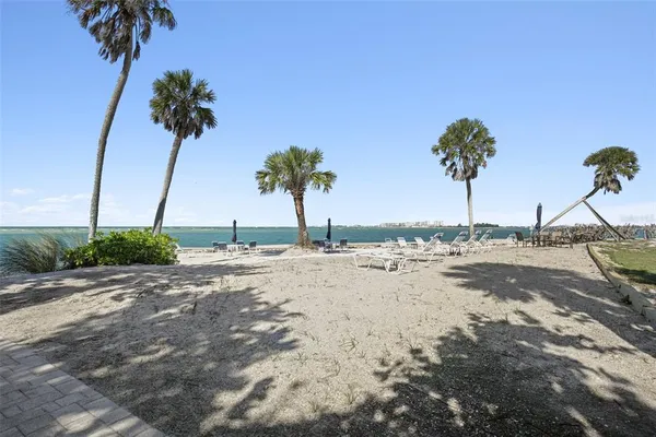a view of a beach with a palm tree