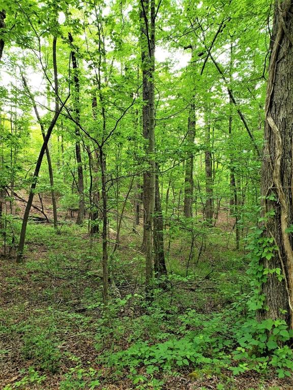 1077 Mayfield Lane Northeast Ranger, GA 30734 - Photo 1 of 1