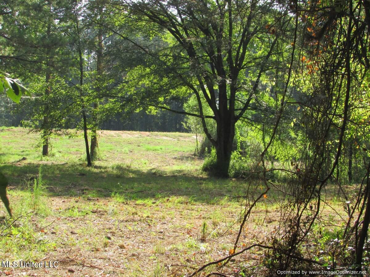 Thornton Road Road Brandon, MS 39042 - Photo 1 of 13 IMG_0011