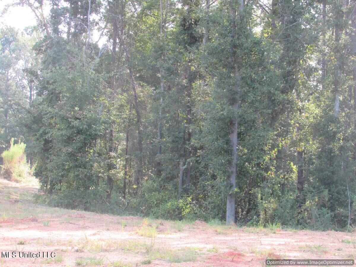 Thornton Road Road Brandon, MS 39042 - Photo 12 of 13 IMG_0014