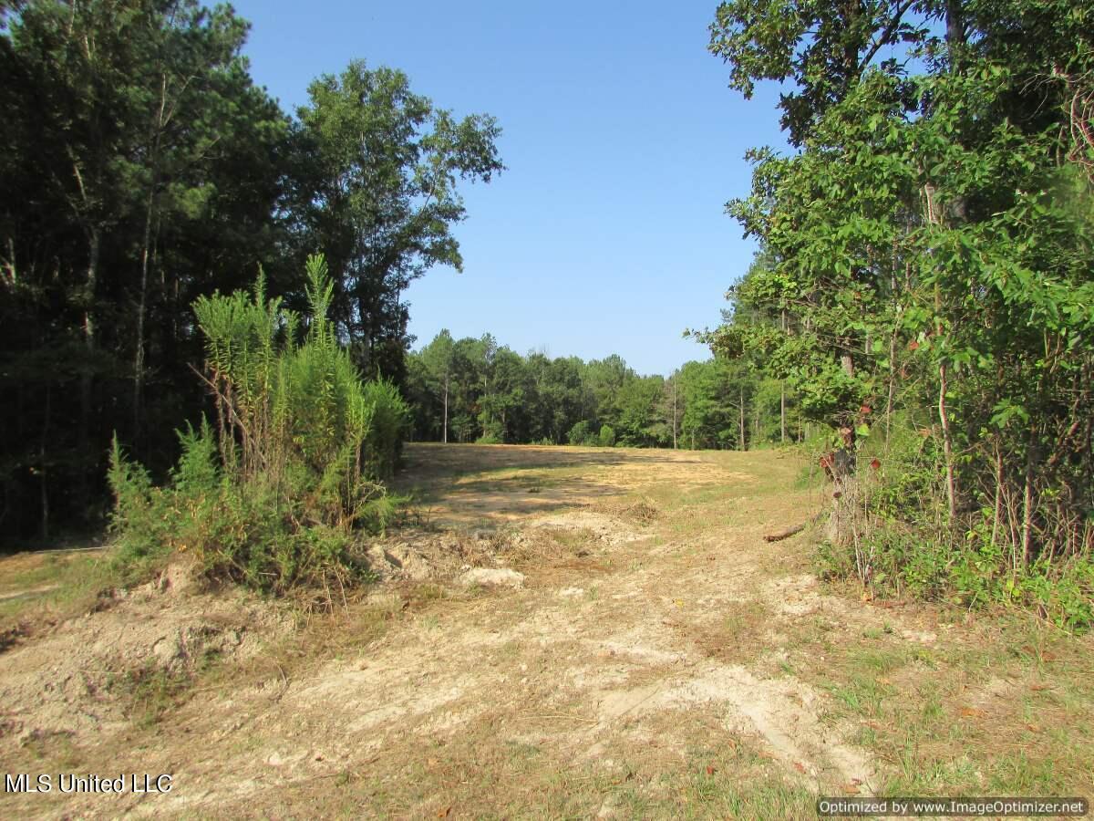 Thornton Road Road Brandon, MS 39042 - Photo 3 of 13 IMG_0002