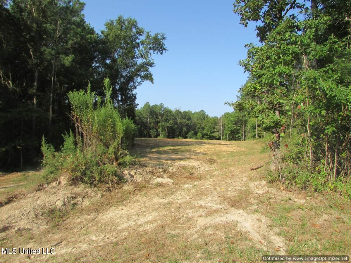 Thornton Road Road Brandon, MS 39042 - Photo 4 of 13 IMG_0003