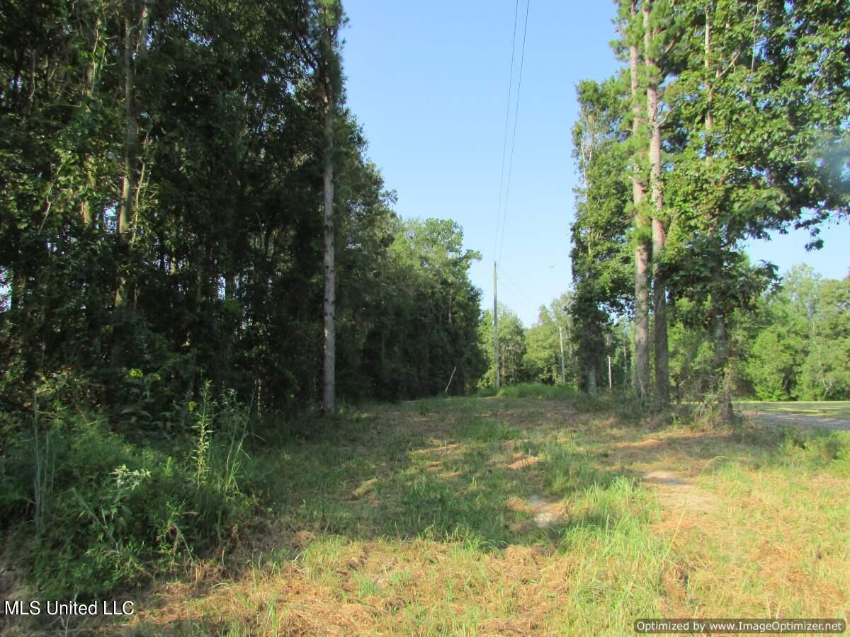 Thornton Road Road Brandon, MS 39042 - Photo 5 of 13 IMG_0004