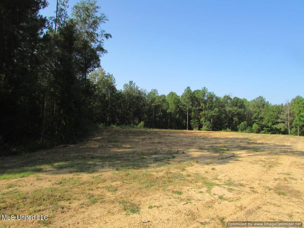 Thornton Road Road Brandon, MS 39042 - Photo 6 of 13 IMG_0005