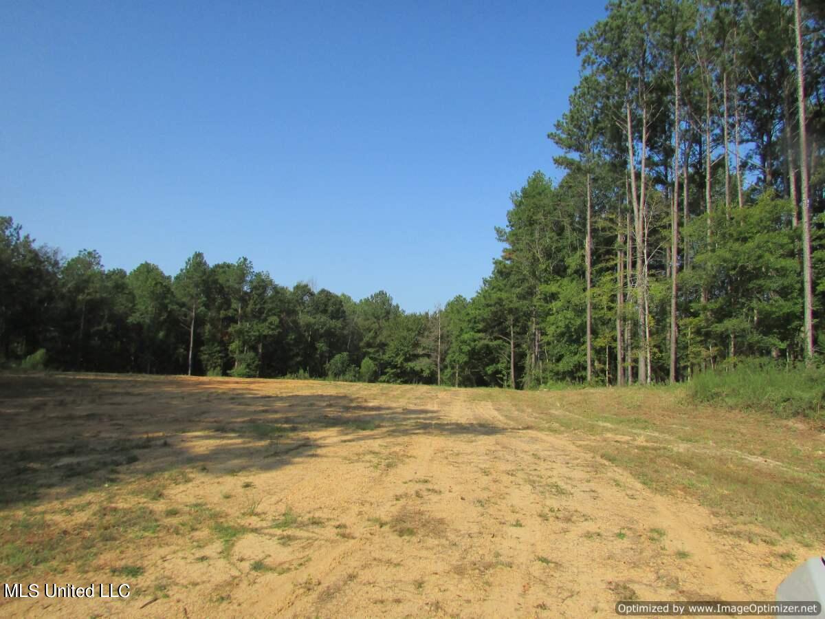 Thornton Road Road Brandon, MS 39042 - Photo 7 of 13 IMG_0007