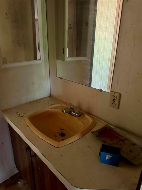 895 Newman Court Ranger, GA 30734 - Photo 14 of 31 a bathroom with a sink and a mirror