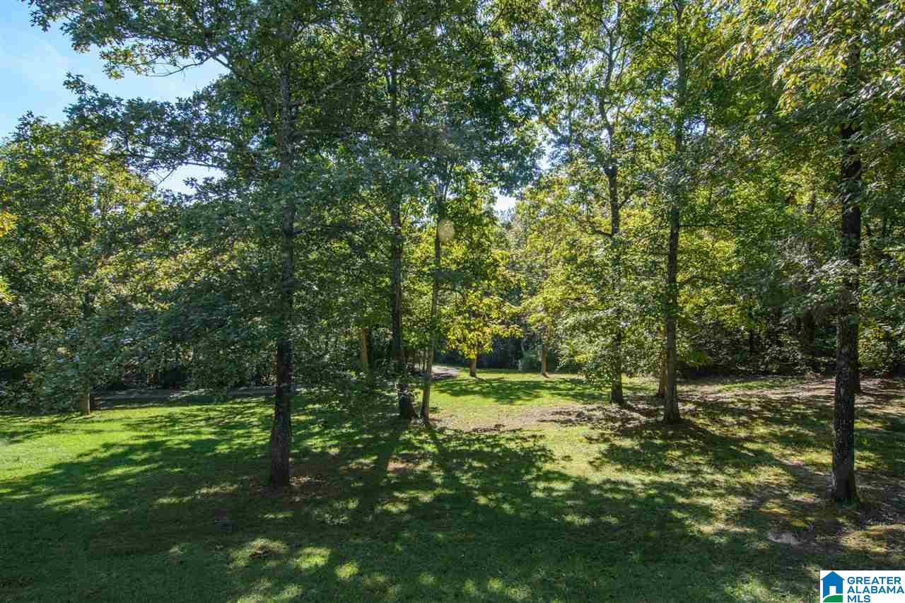 7951 Highway 55 Wilsonville, AL 35186 - Photo 49 of 50