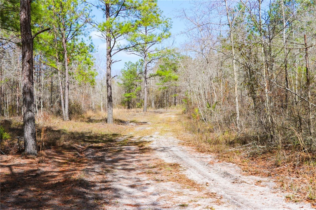 0 Tillman Eason Road Claxton, GA 30417 - Photo 3 of 28
