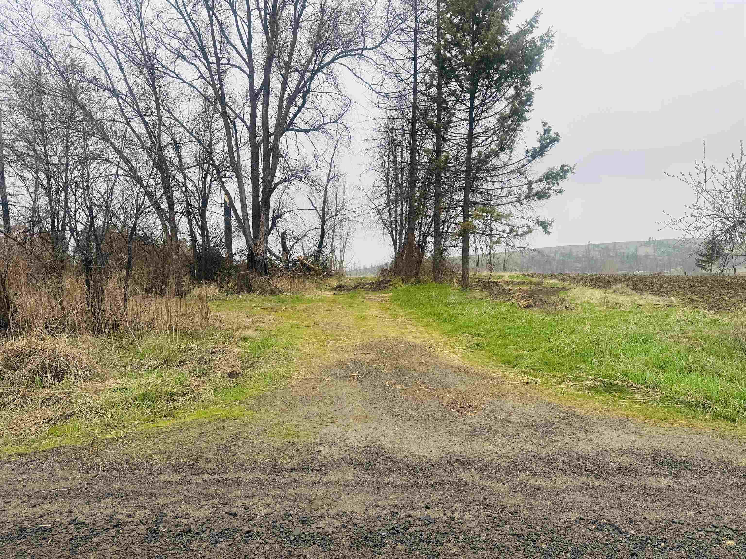10524 South Murphy Road Cheney, WA 99004 - Photo 1 of 12