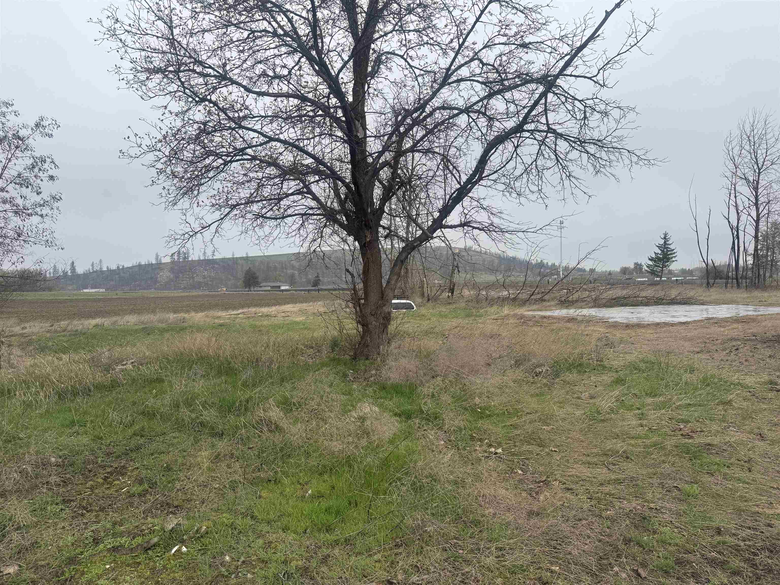 10524 South Murphy Road Cheney, WA 99004 - Photo 11 of 12