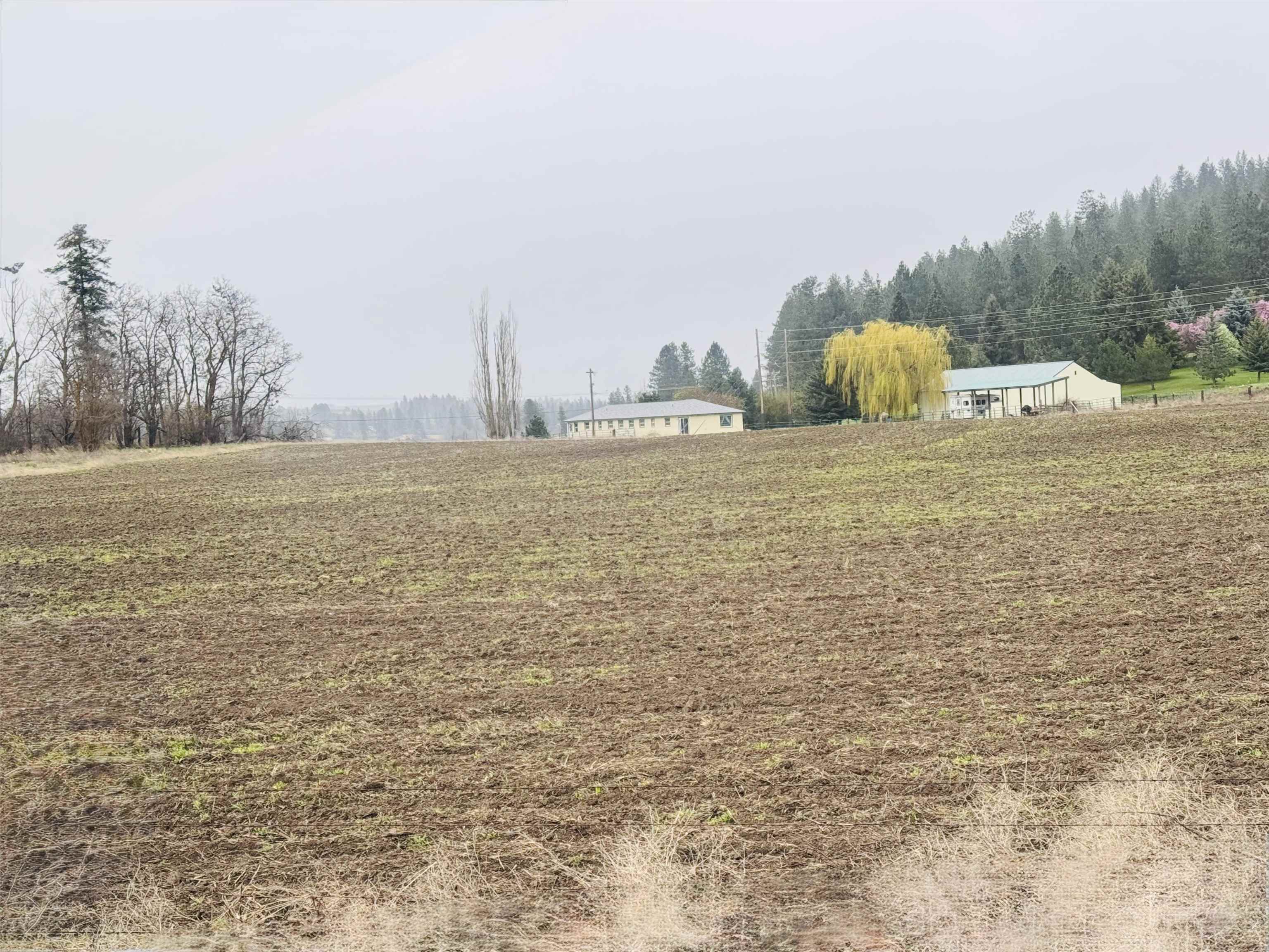 10524 South Murphy Road Cheney, WA 99004 - Photo 3 of 12