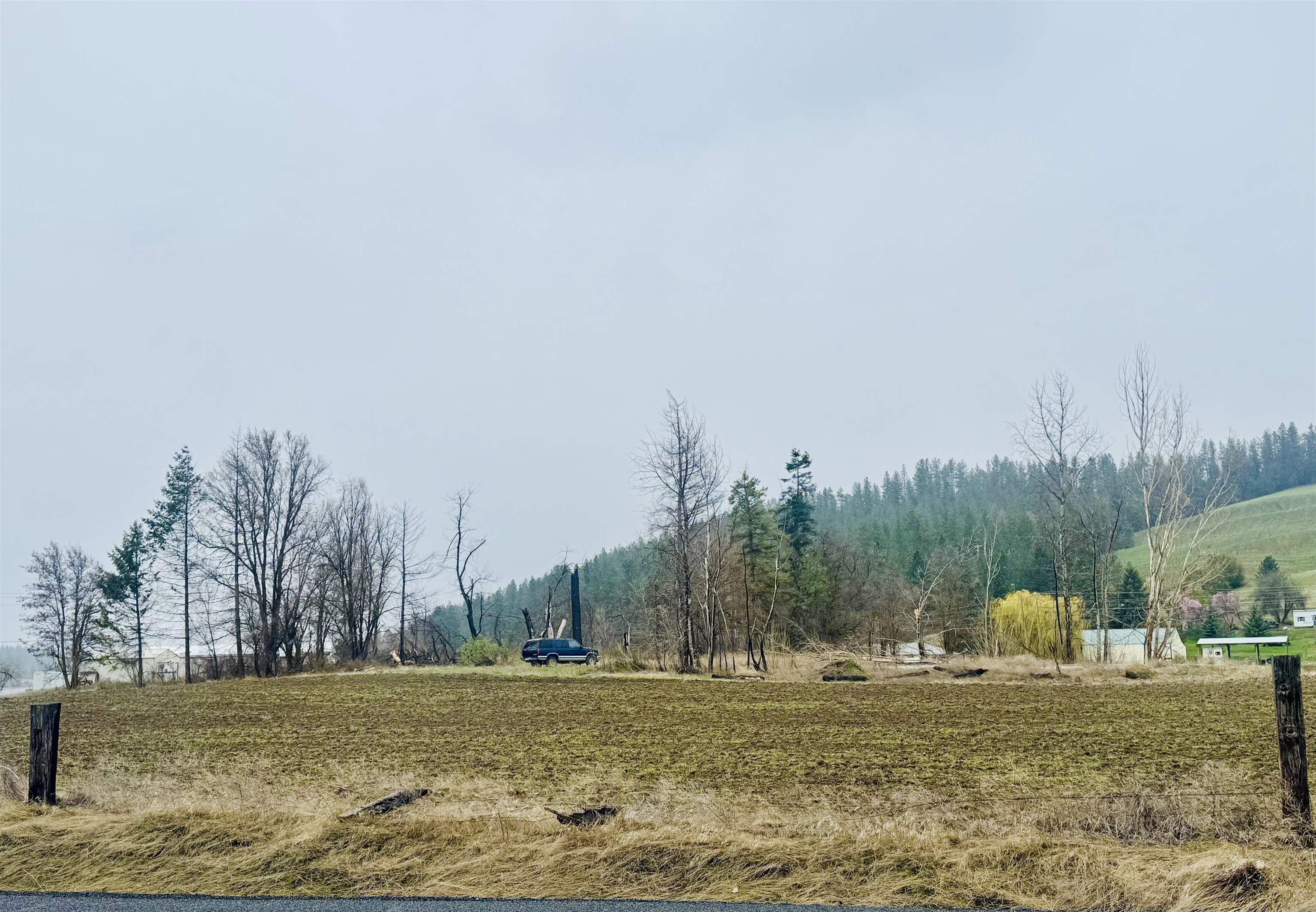 10524 South Murphy Road Cheney, WA 99004 - Photo 4 of 12