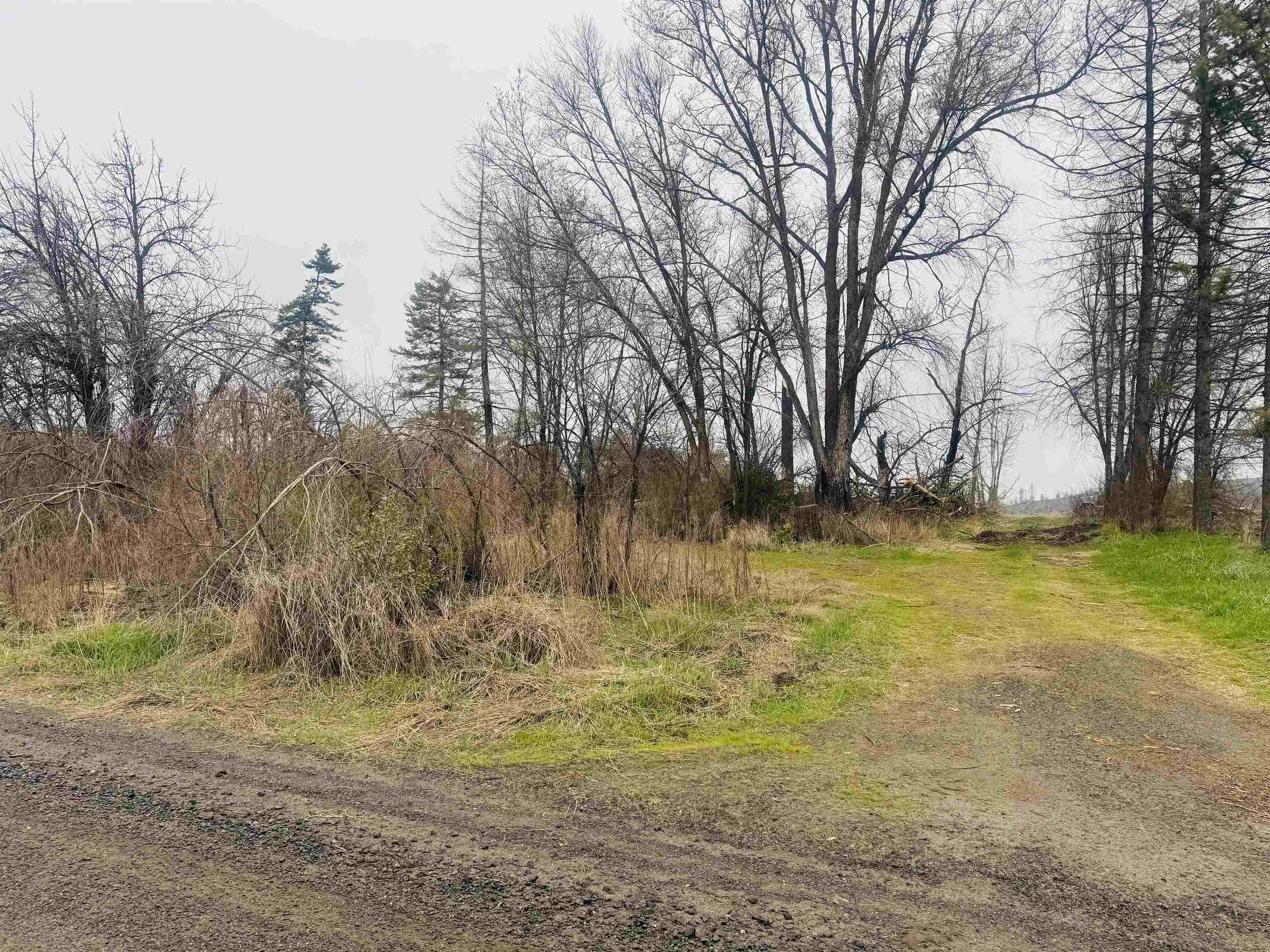 10524 South Murphy Road Cheney, WA 99004 - Photo 6 of 12