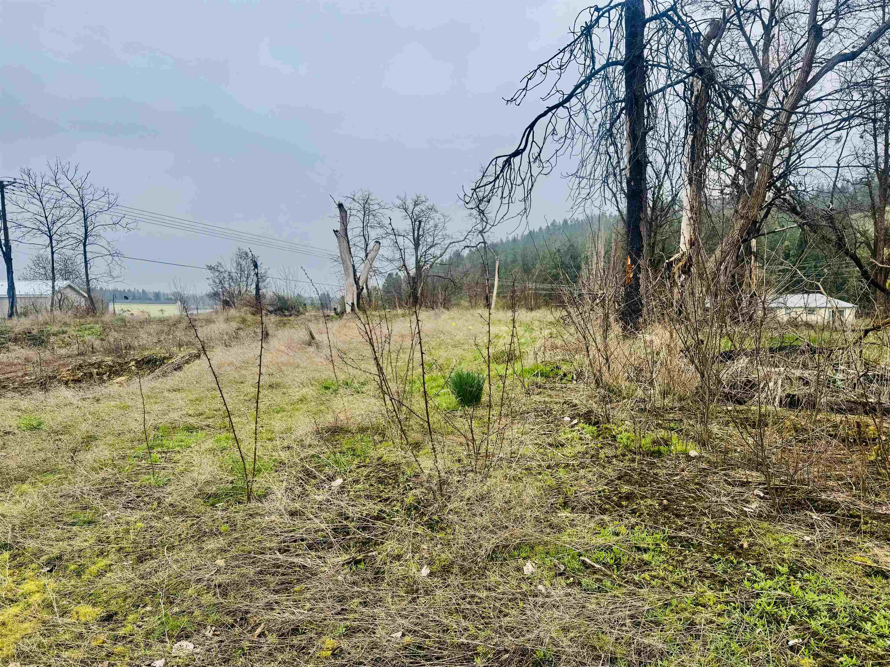 10524 South Murphy Road Cheney, WA 99004 - Photo 7 of 12