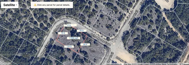 a view of a tree with a tree