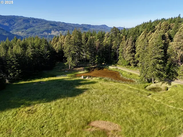 a view of a swimming pool with trees in the background