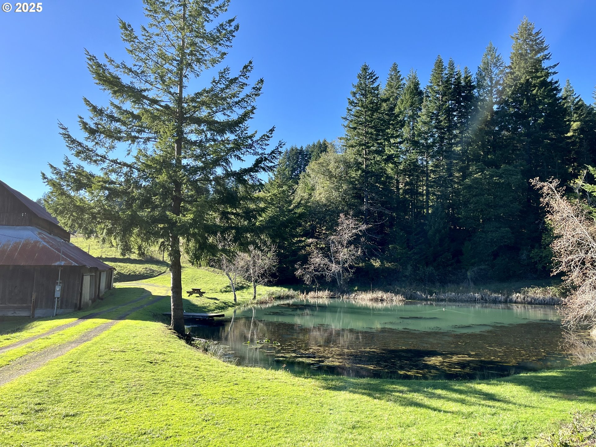 32855 Miller Ranch Road Gold Beach, OR 97444 - Photo 45 of 47 a view of swimming pool with a yard