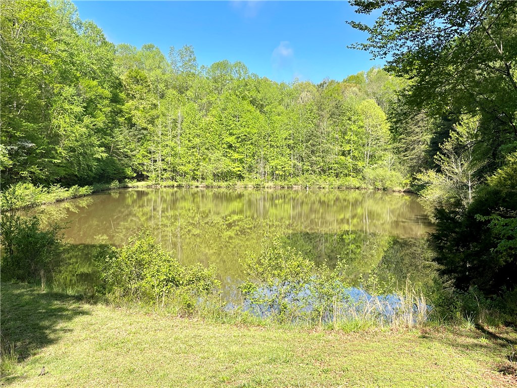 1038 Porter Road Pendleton, SC 29670 - Photo 3 of 48 Gallery Image 3