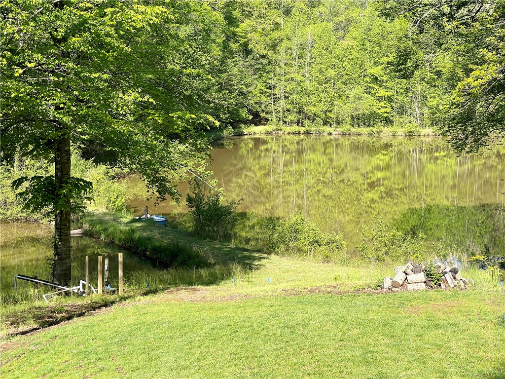 1038 Porter Road Pendleton, SC 29670 - Photo 36 of 48 Gallery Image 36