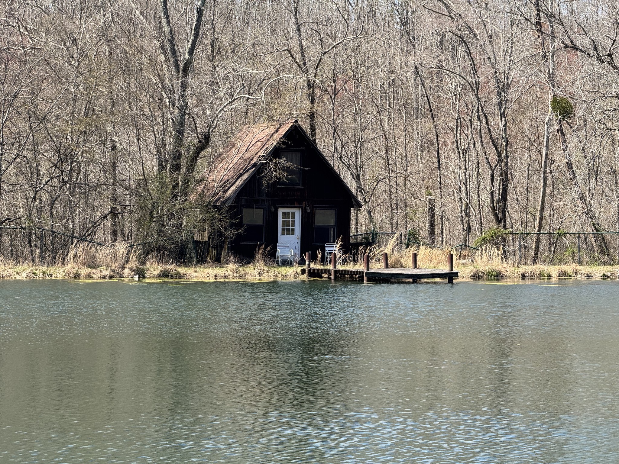 191 Forks Of The River Road Waverly, TN 37185 - Photo 11 of 59 a view of a lake with a house in the background