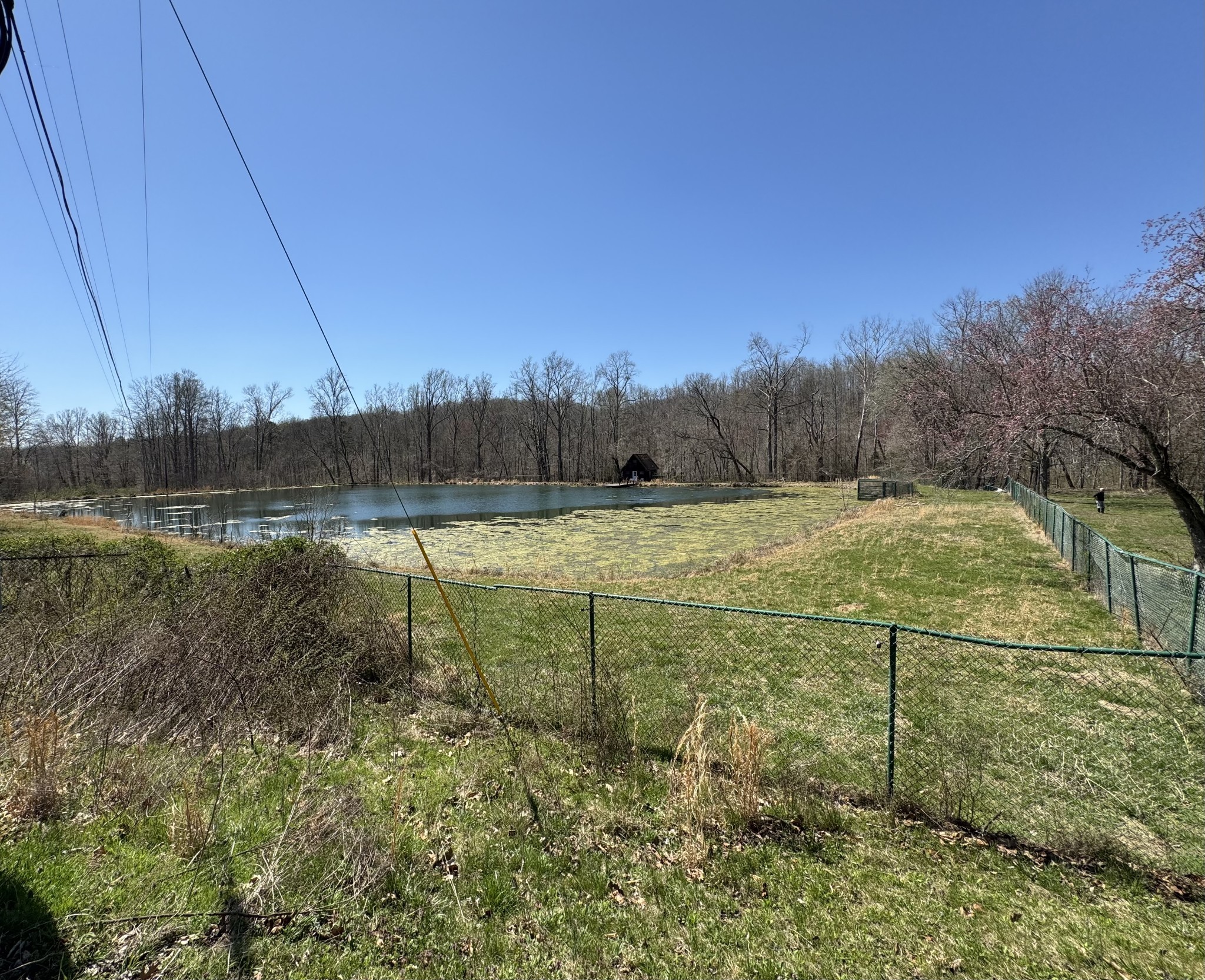 191 Forks Of The River Road Waverly, TN 37185 - Photo 13 of 59
