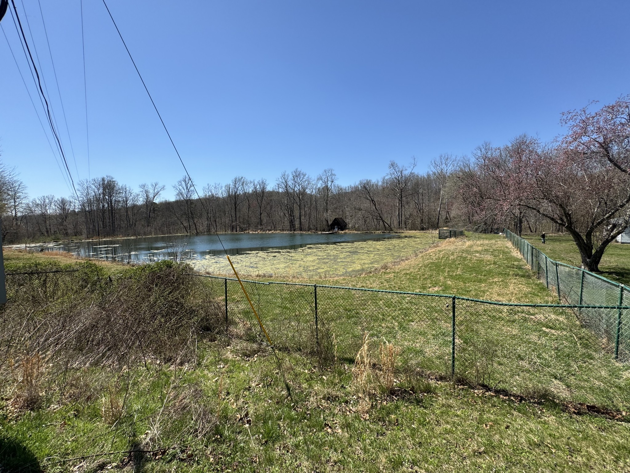 191 Forks Of The River Road Waverly, TN 37185 - Photo 15 of 59 a view of a backyard