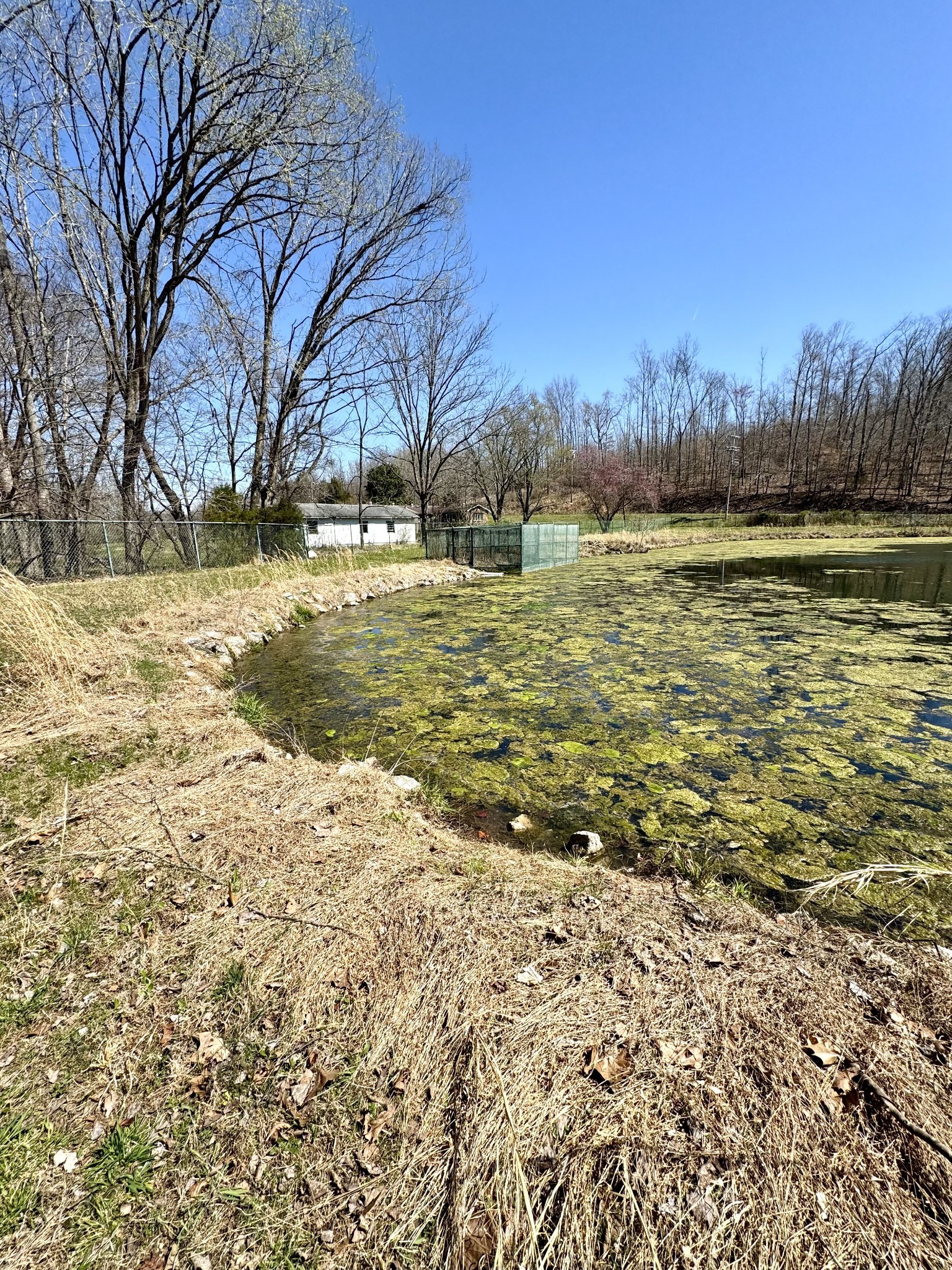 191 Forks Of The River Road Waverly, TN 37185 - Photo 21 of 59 a view of a yard with a lake view