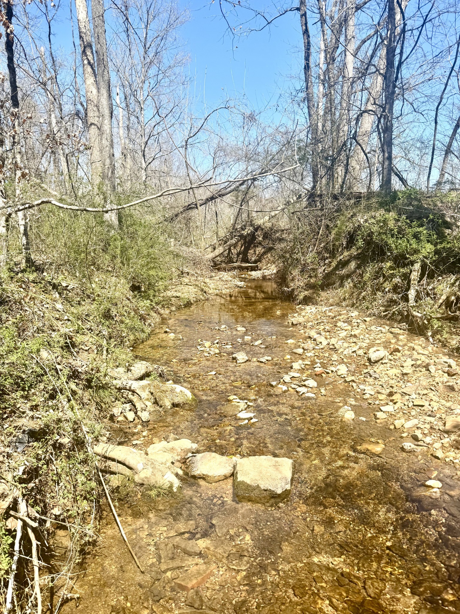 191 Forks Of The River Road Waverly, TN 37185 - Photo 36 of 59