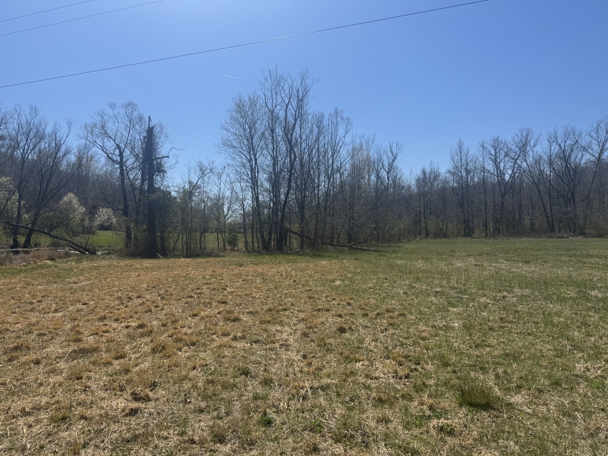 191 Forks Of The River Road Waverly, TN 37185 - Photo 40 of 59 a view of a backyard