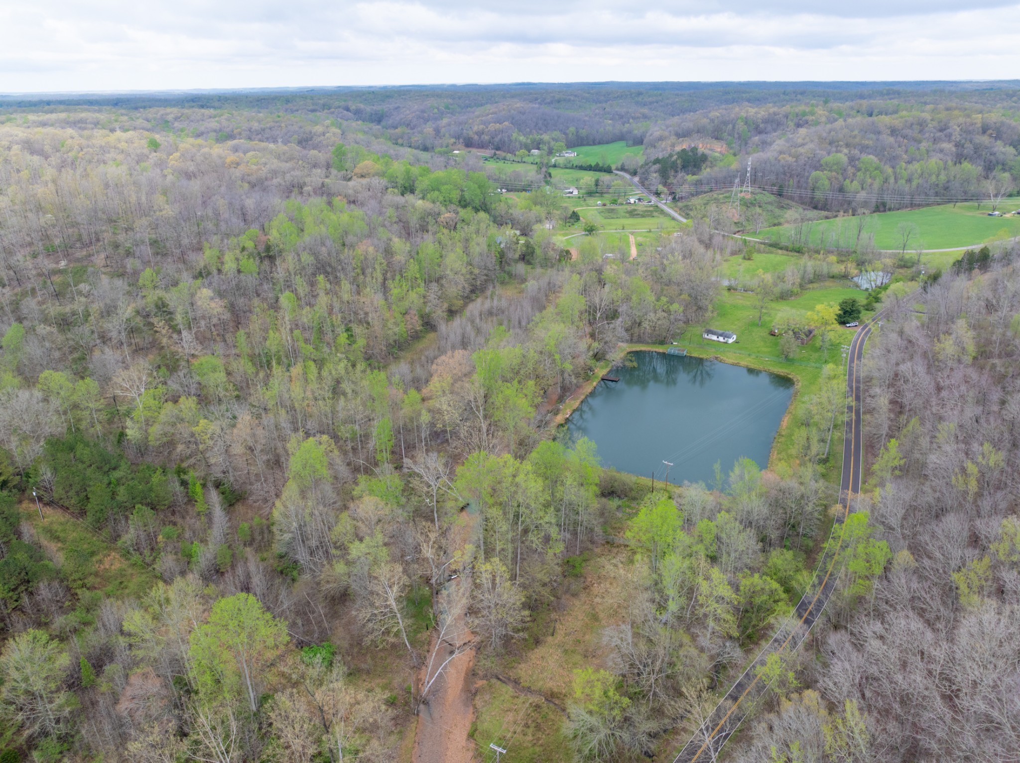 191 Forks Of The River Road Waverly, TN 37185 - Photo 54 of 59 a view of a lush green forest with lots of trees
