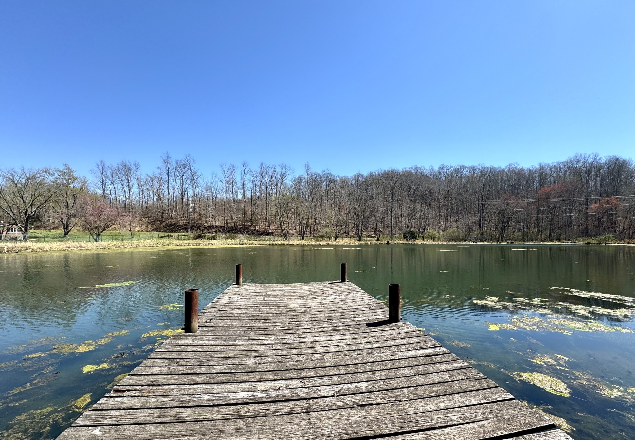 191 Forks Of The River Road Waverly, TN 37185 - Photo 9 of 59 a view of a lake