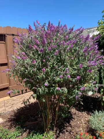 $814,999 | 3033 Las Palmas Drive, El Dorado Hills, CA 95762