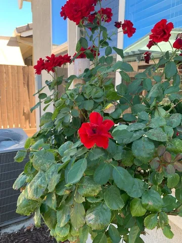 $814,999 | 3033 Las Palmas Drive, El Dorado Hills, CA 95762