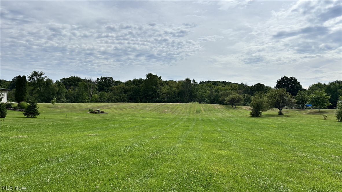 11784 Chamberlain Road Mantua, OH 44255 - Photo 48 of 50 Expansive grounds featuring meticulously manicured lawn with gentle rolling contours, mature shade trees scattered throughout the property, and open sightlines across the acreage