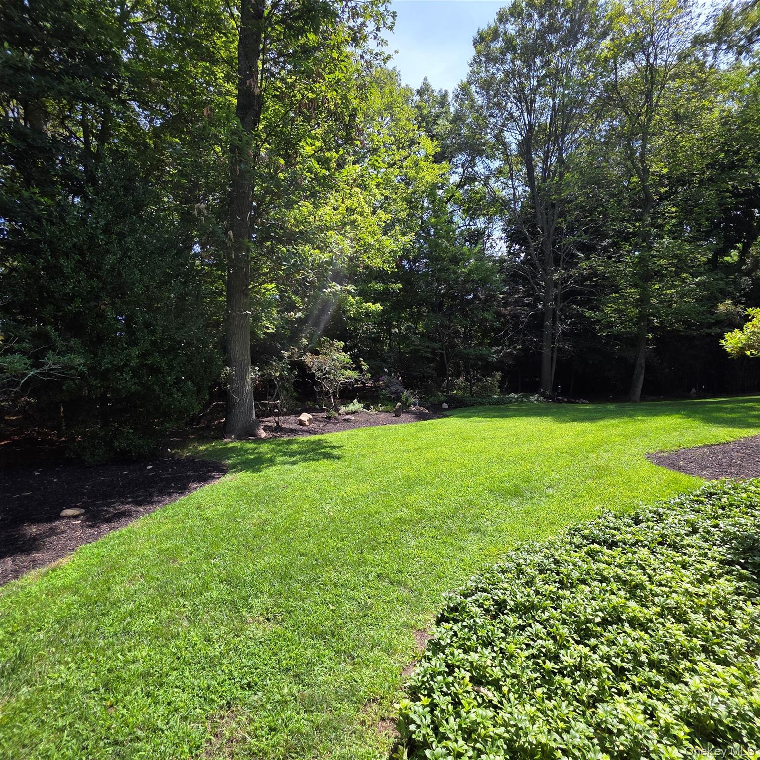 9 Cliff Road Port Jefferson, NY 11777 - Photo 9 of 31 Gallery Image 9
