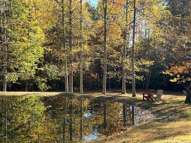 a view of a house with a big yard and large trees