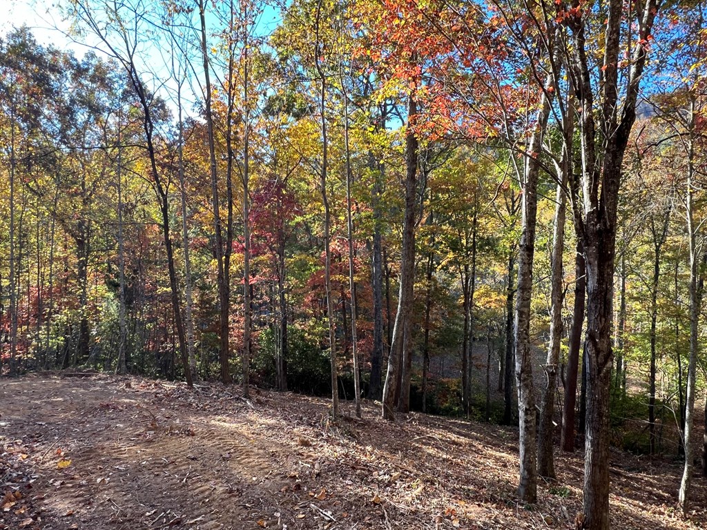 1 Bartin Ridge Murphy, NC 28906 - Photo 18 of 39 a view of an outdoor space with trees