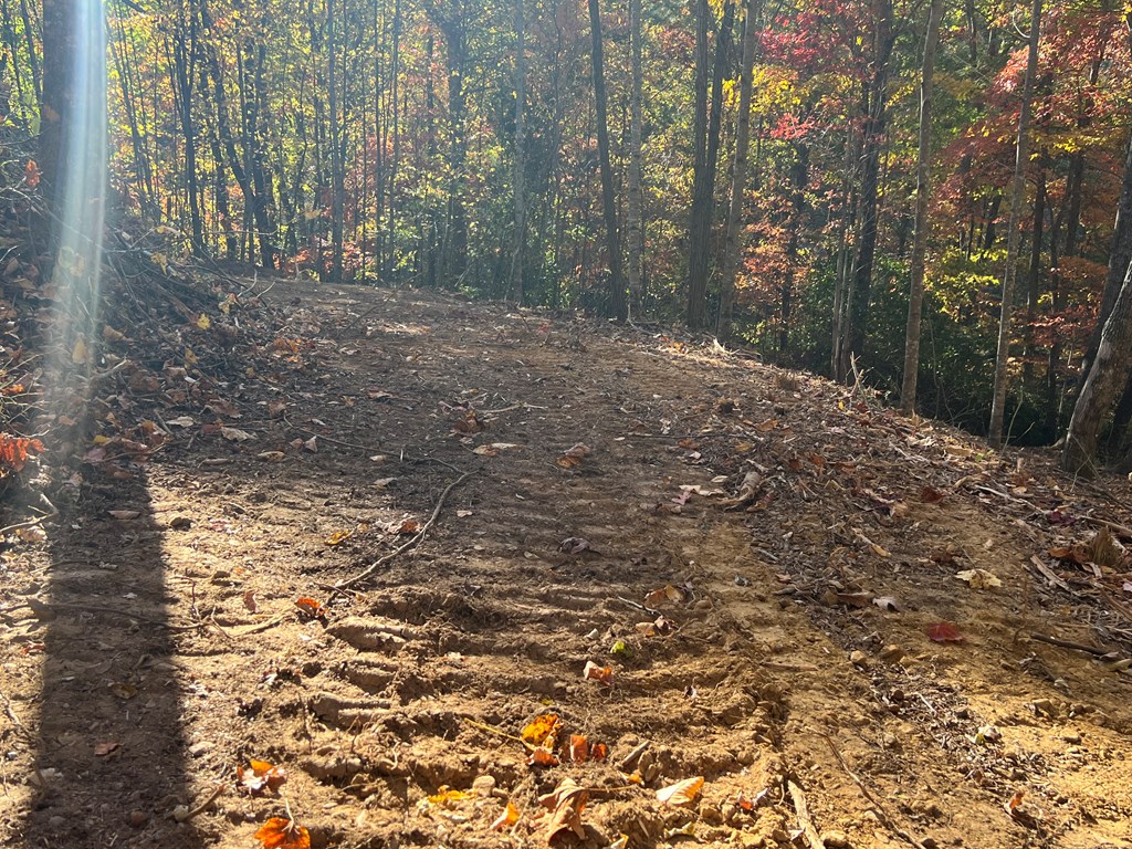 1 Bartin Ridge Murphy, NC 28906 - Photo 19 of 39 a view of a yard with trees