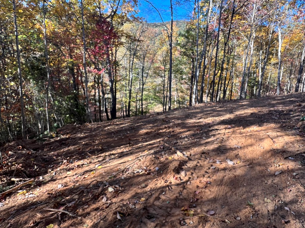 1 Bartin Ridge Murphy, NC 28906 - Photo 21 of 39 a view of a yard with large trees