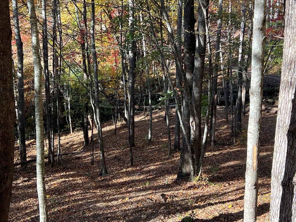 1 Bartin Ridge Murphy, NC 28906 - Photo 22 of 39 a view of a backyard of the house