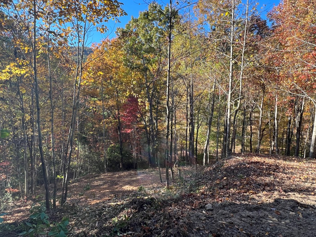 1 Bartin Ridge Murphy, NC 28906 - Photo 23 of 39 a view of outdoor space with lots of trees