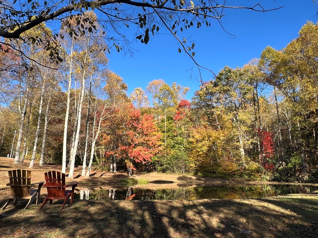 1 Bartin Ridge Murphy, NC 28906 - Photo 26 of 39 a view of building
