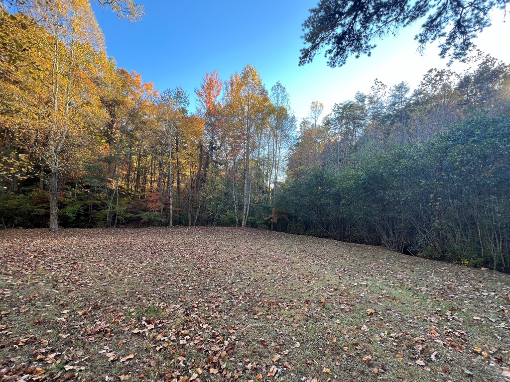1 Bartin Ridge Murphy, NC 28906 - Photo 28 of 39 a view of a yard with trees