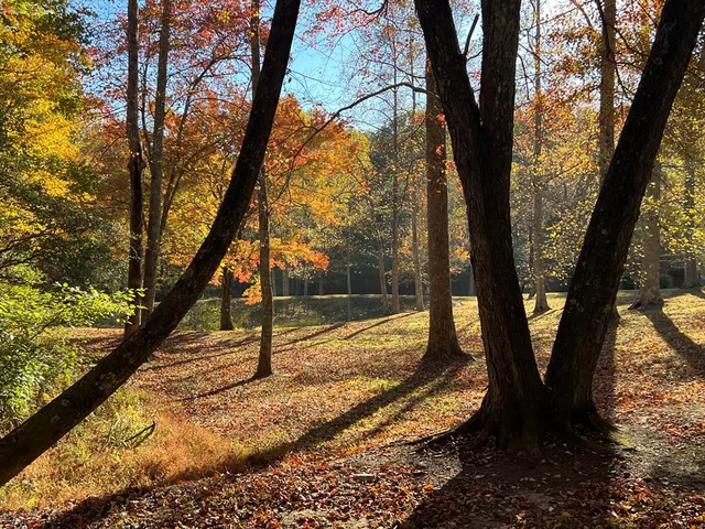 a view of a park with iron fence