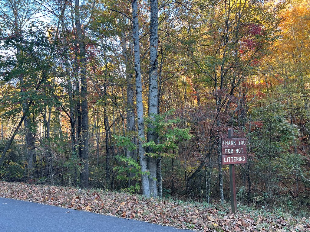 1 Bartin Ridge Murphy, NC 28906 - Photo 32 of 39 a sign that is on the side of a road