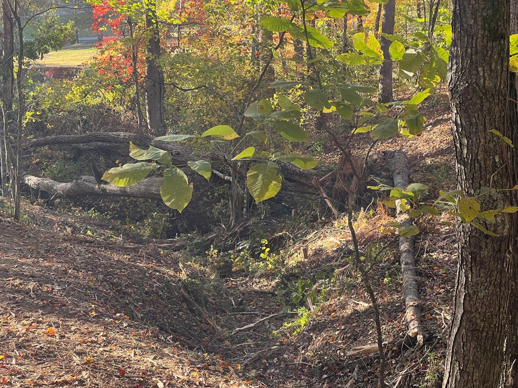 1 Bartin Ridge Murphy, NC 28906 - Photo 7 of 39 a backyard of a house with a yard and outdoor seating